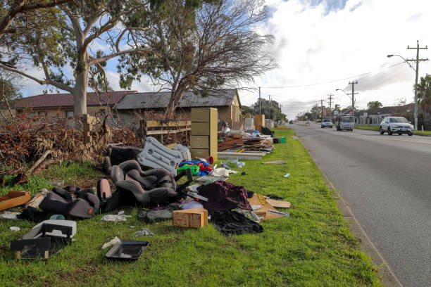 Professional Junk removal services in Davie