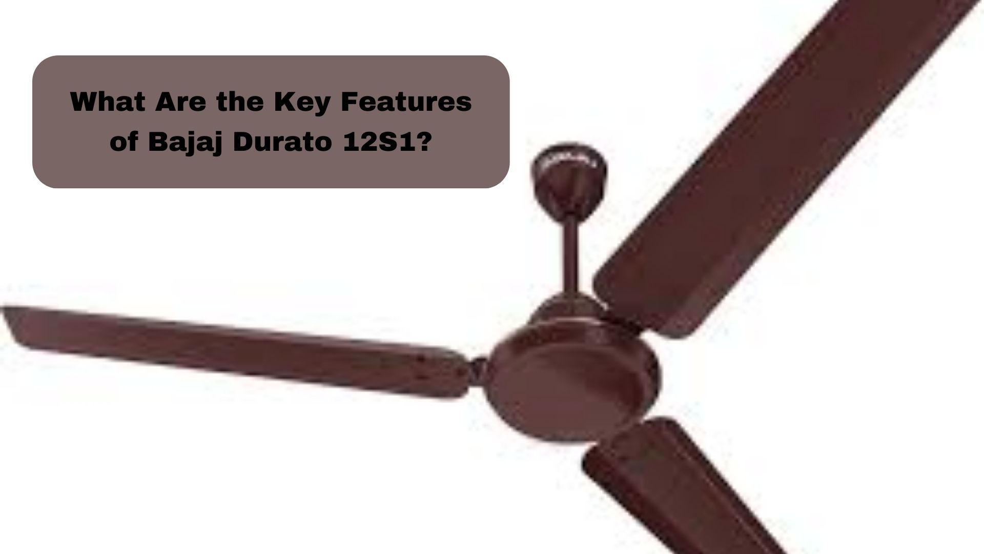 What Are the Key Features of Bajaj Durato 12S1
