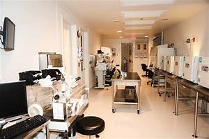 IVF Center In Patna